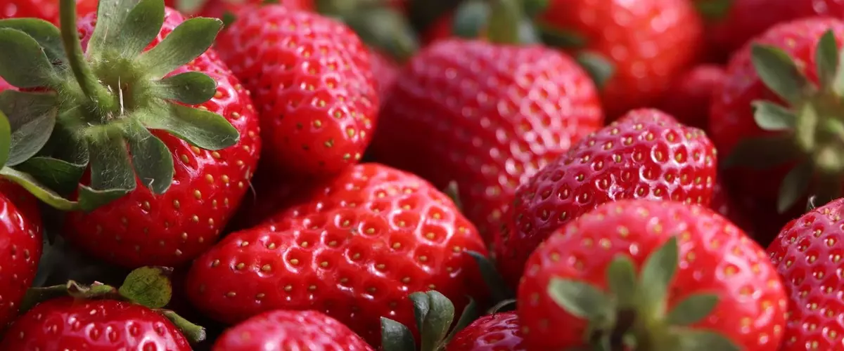 Photo de fraises